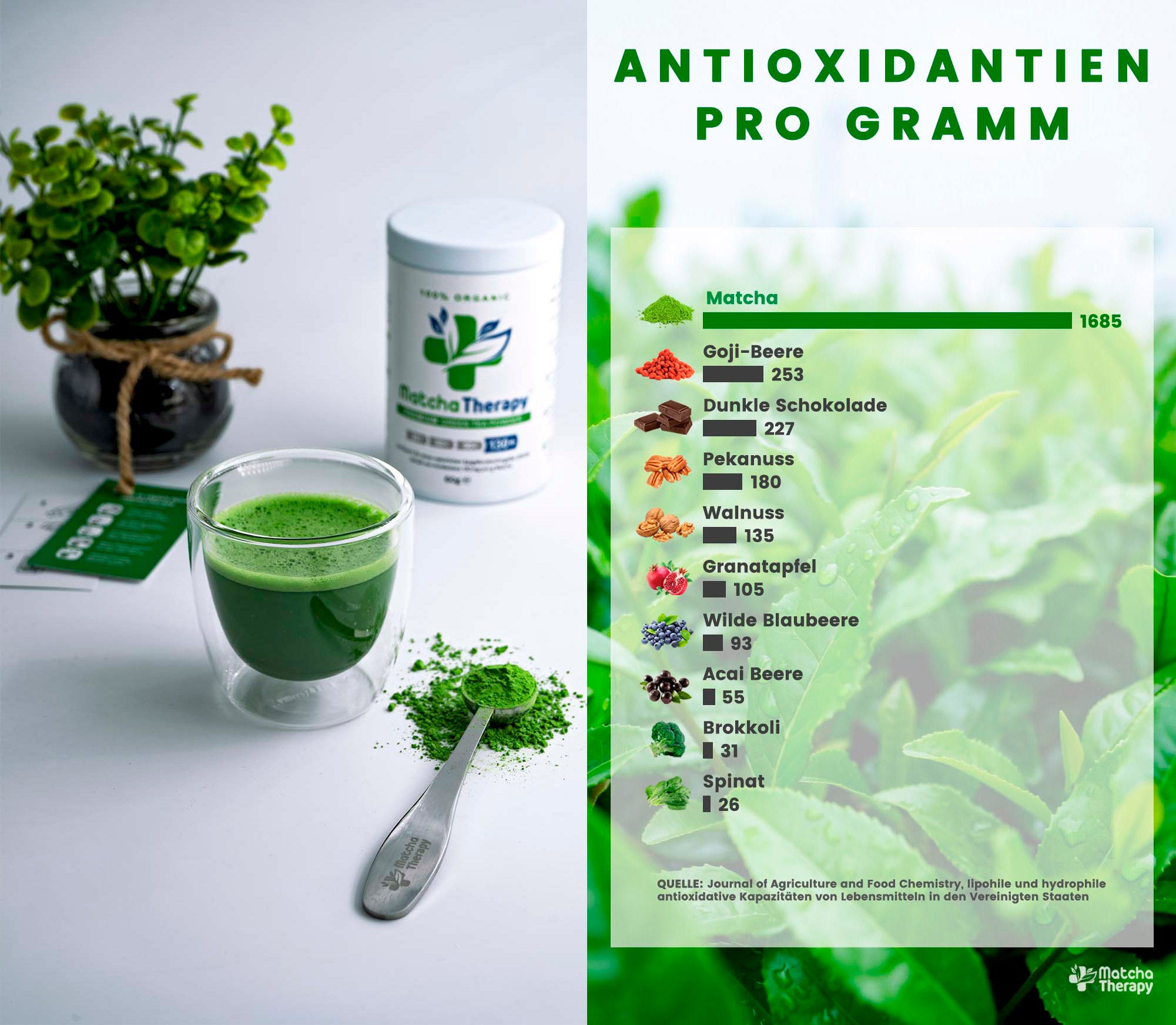 MatchaTherapy Antioxidantien Allgemein