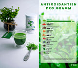MatchaTherapy Antioxidantien Allgemein