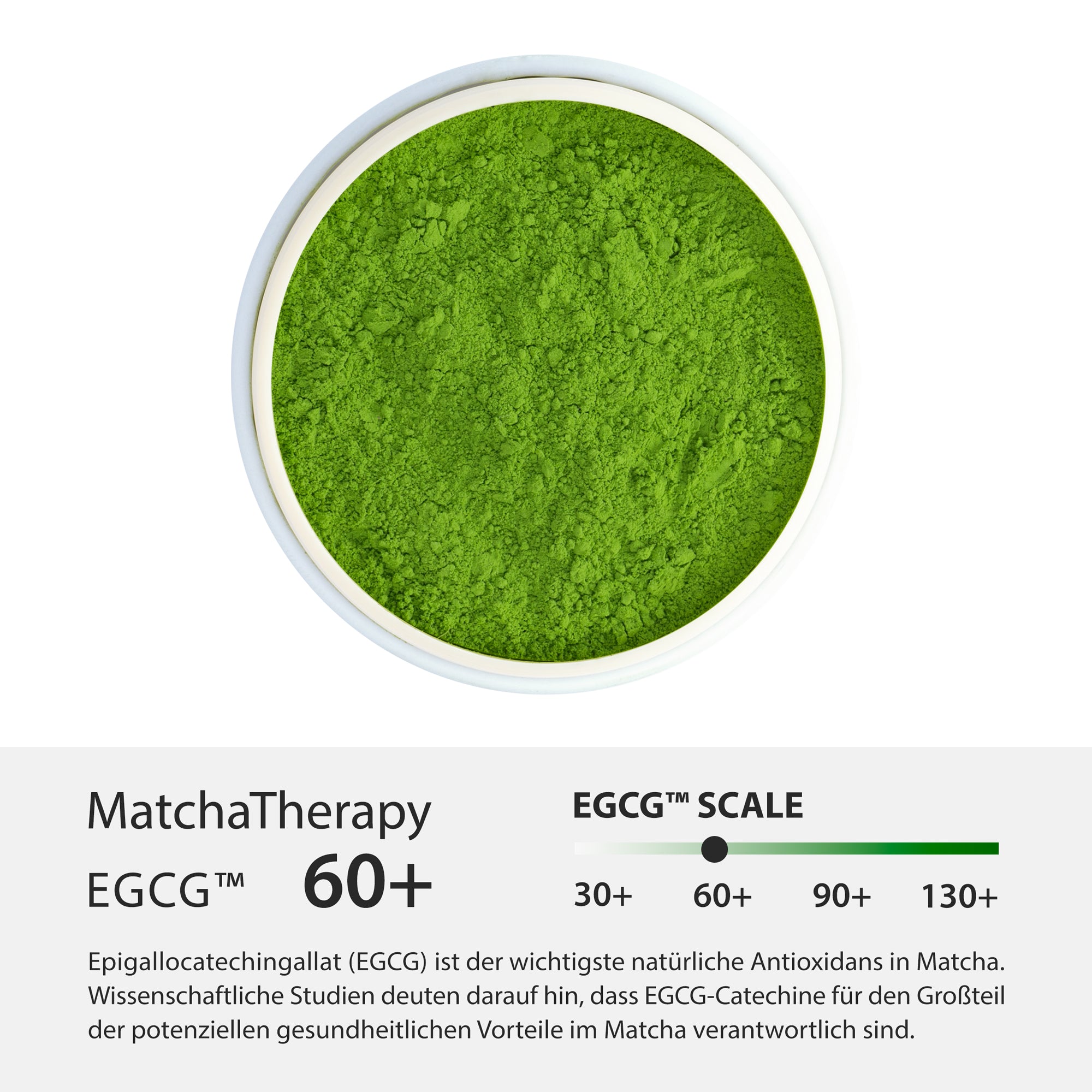 MatchaTherapy60+ Bio Matcha Grüntee Extrakt - EGCG Scale