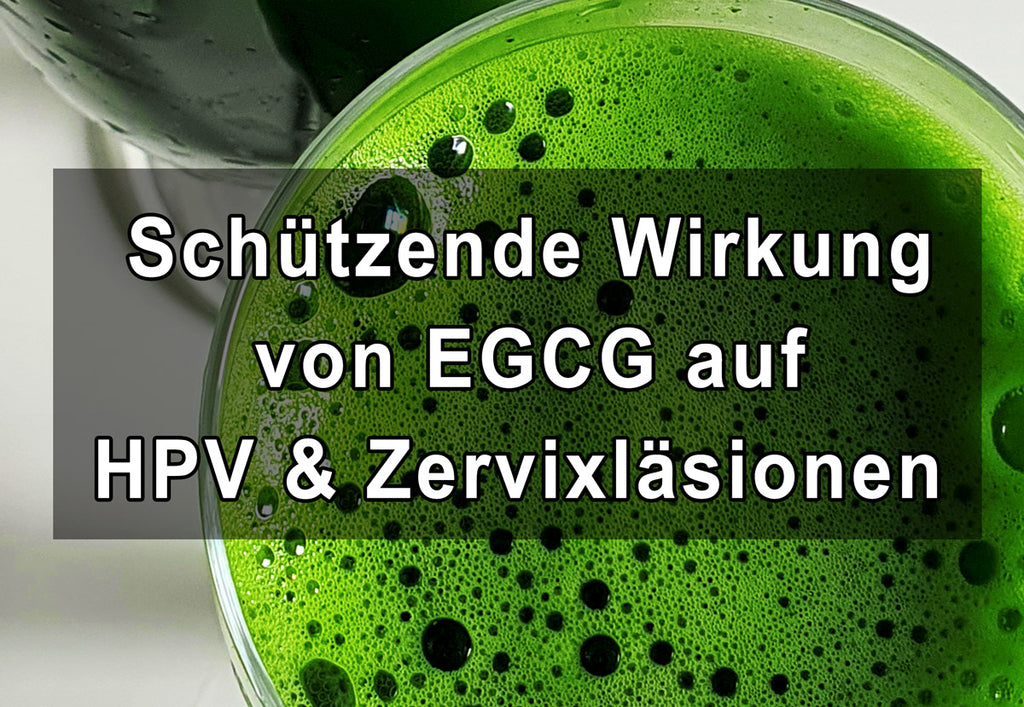 Effets protecteurs des extraits de thé vert (polyphénon E et EGCG) sur les lésions cervicales humaines